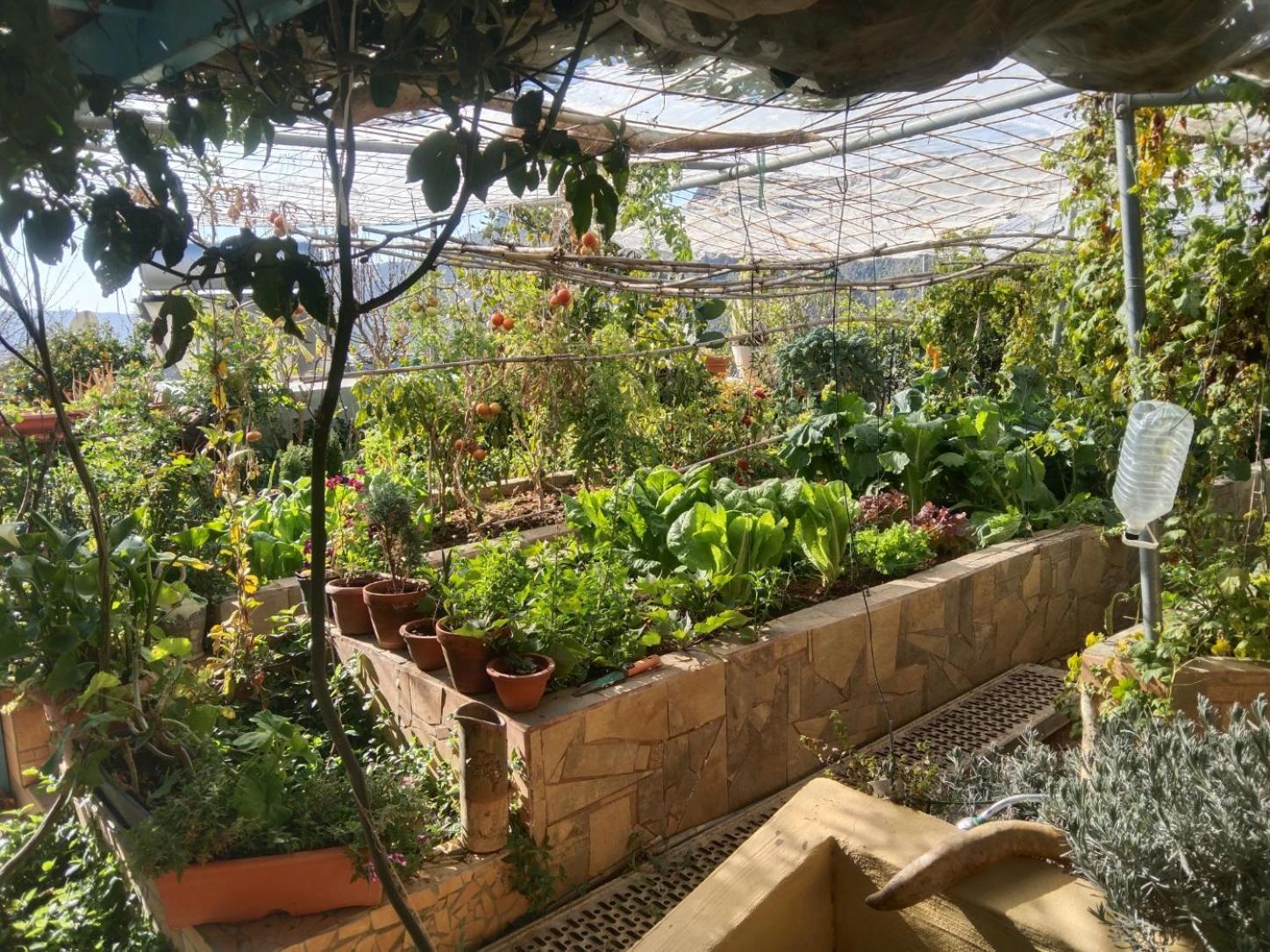Finca Cortez Apartment 4 San Bartolomé 외부 사진
